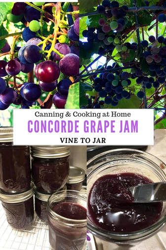 Concorde Grape Jam
